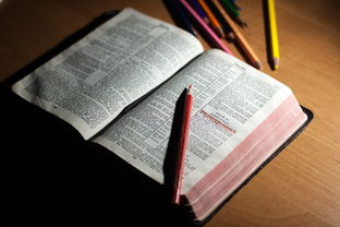 AYX体育-体育教师能力认证制度在试点城市启动，体育教师资格证认定条件